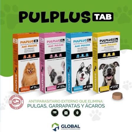 Pulplus Tab