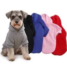 Ropa